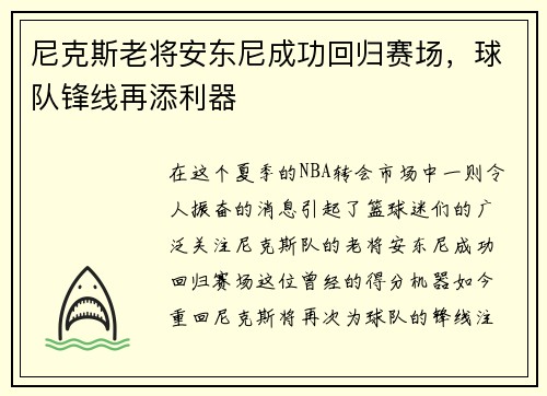 尼克斯老将安东尼成功回归赛场，球队锋线再添利器